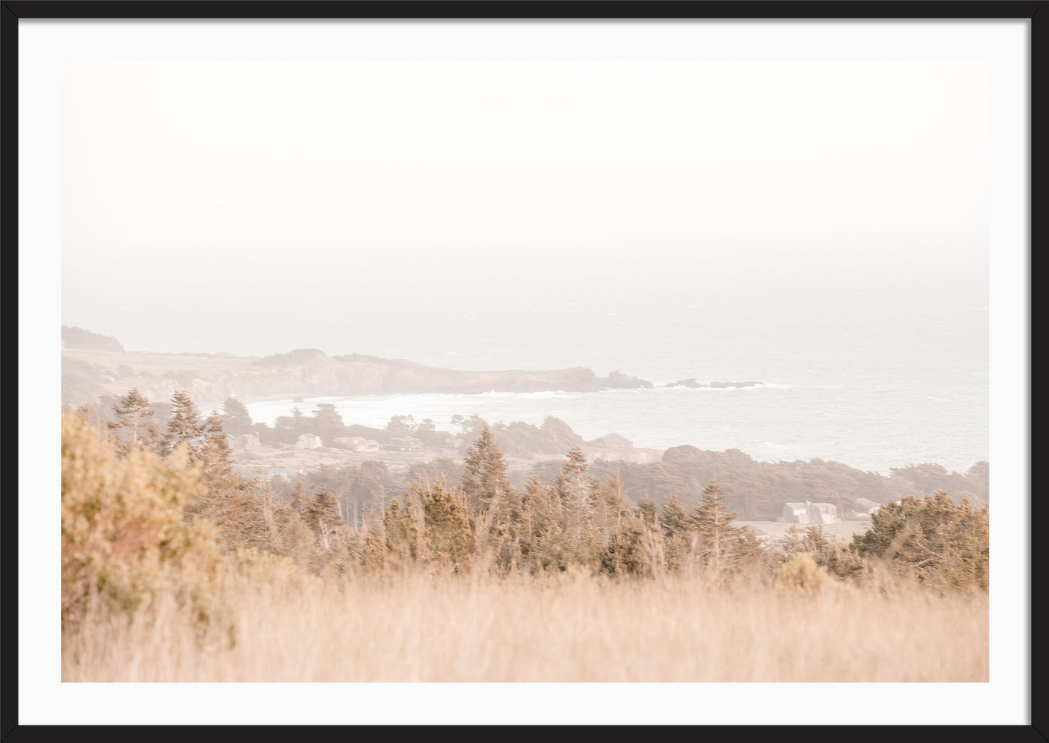 Sea Ranch Coastline
