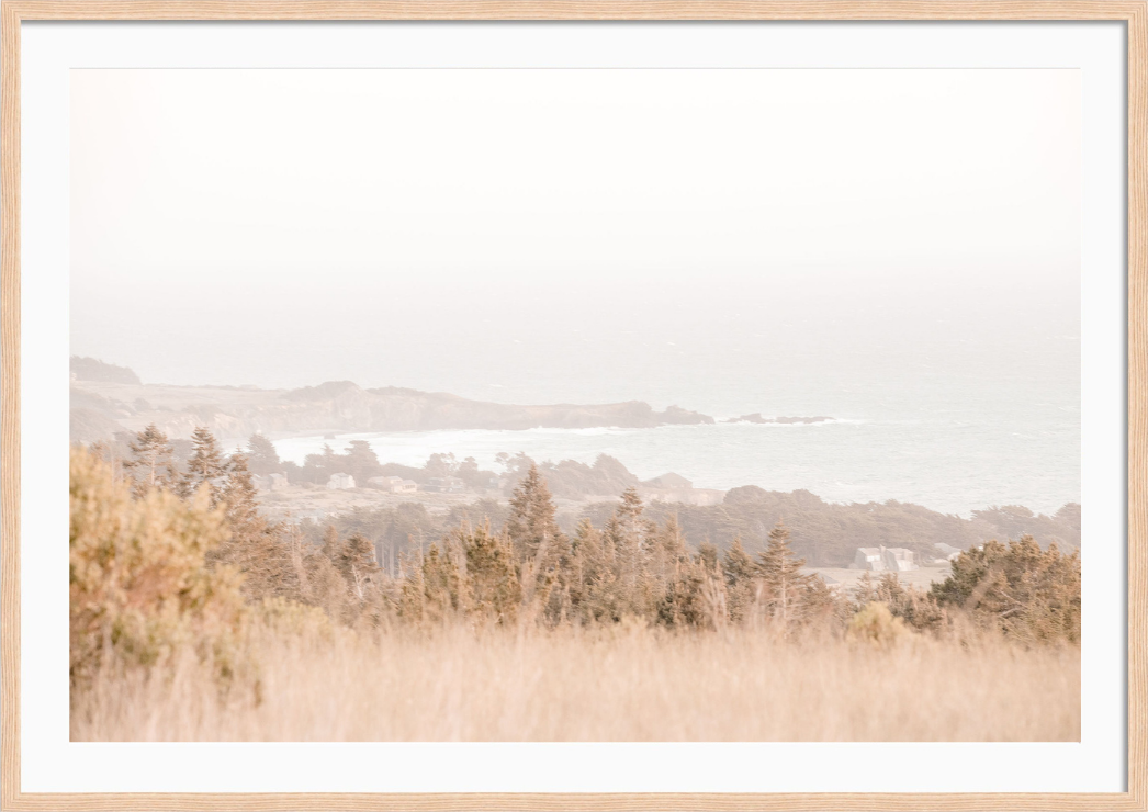 Sea Ranch Coastline