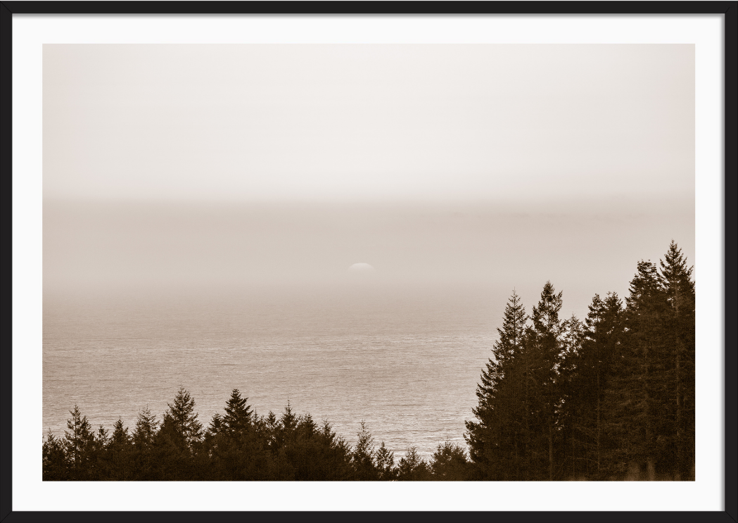 Sea Ranch Lookout