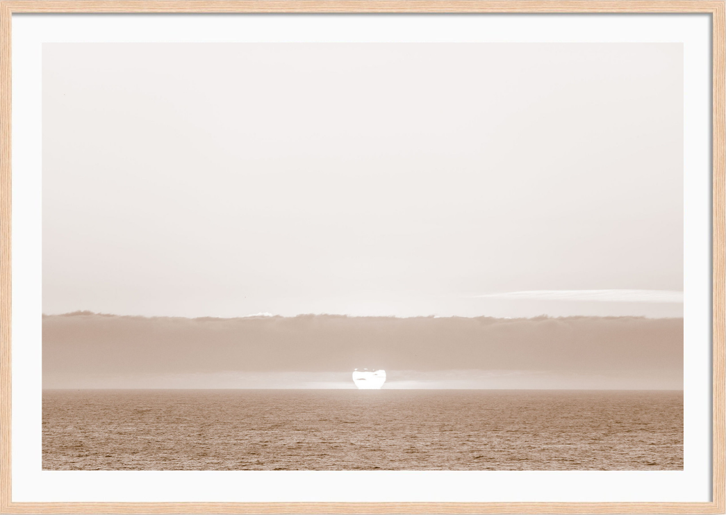 Sea Ranch Sunset