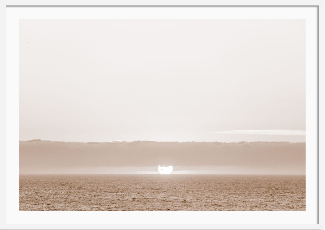 Sea Ranch Sunset
