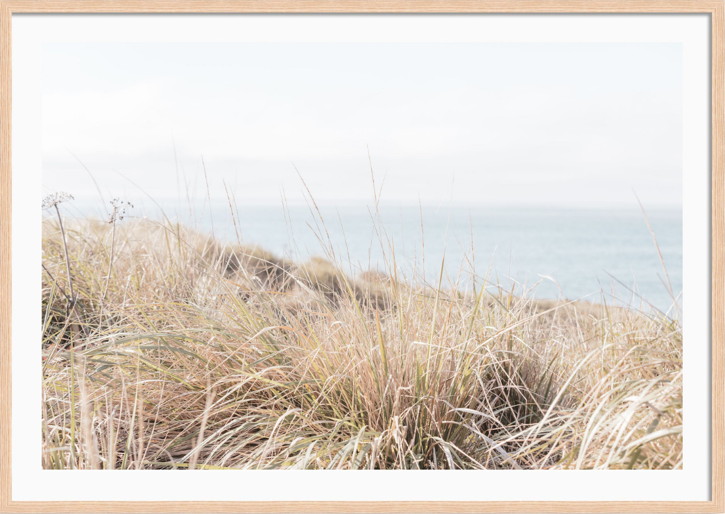 Sea Ranch Wild Grass
