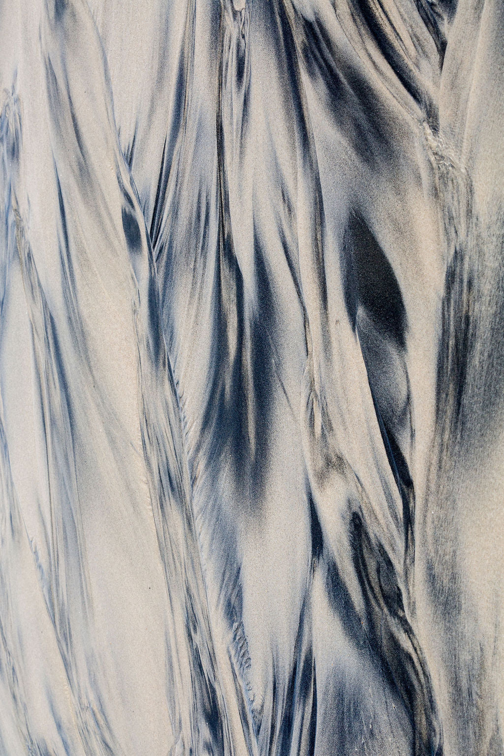 Print Image