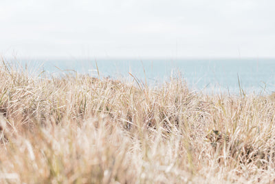 Sea Ranch