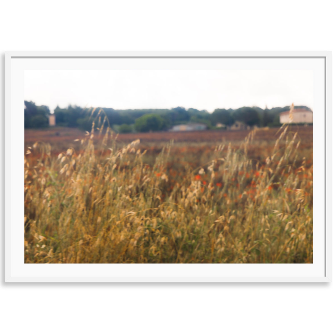 Tuscany Fields