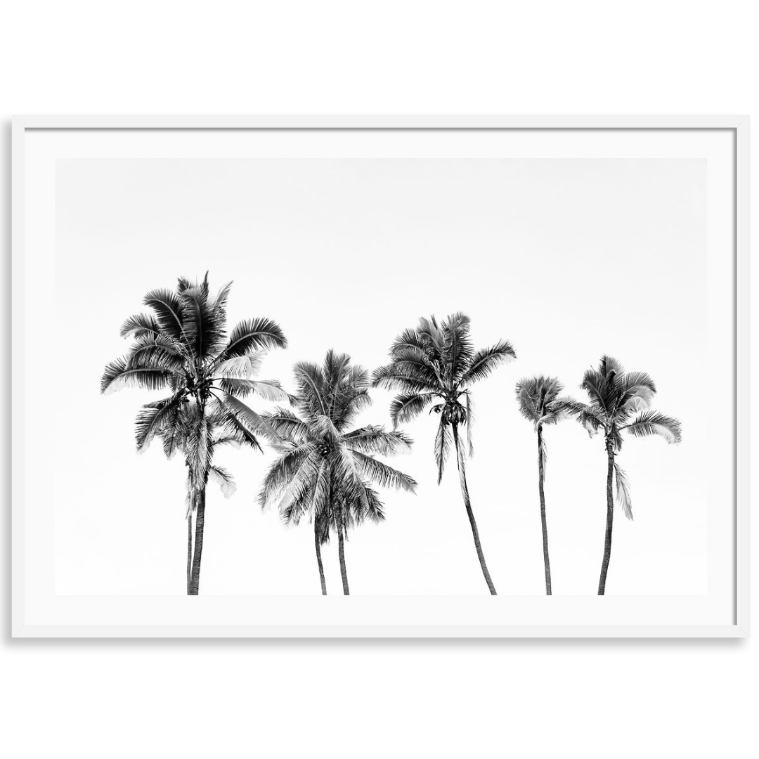 Hawaiian Palms