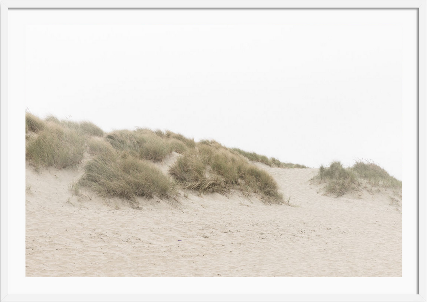 Ocean Beach Dunes