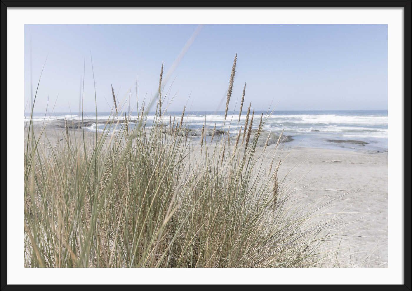 California Wildgrass