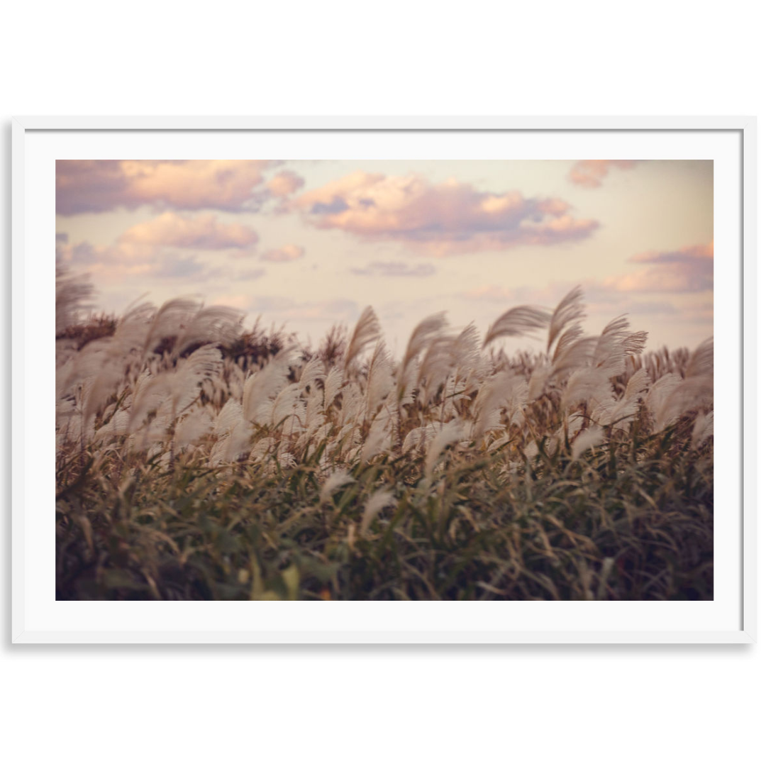 Heavenly Field