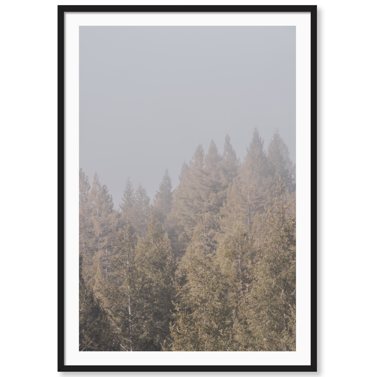 Enchanted Forest 3