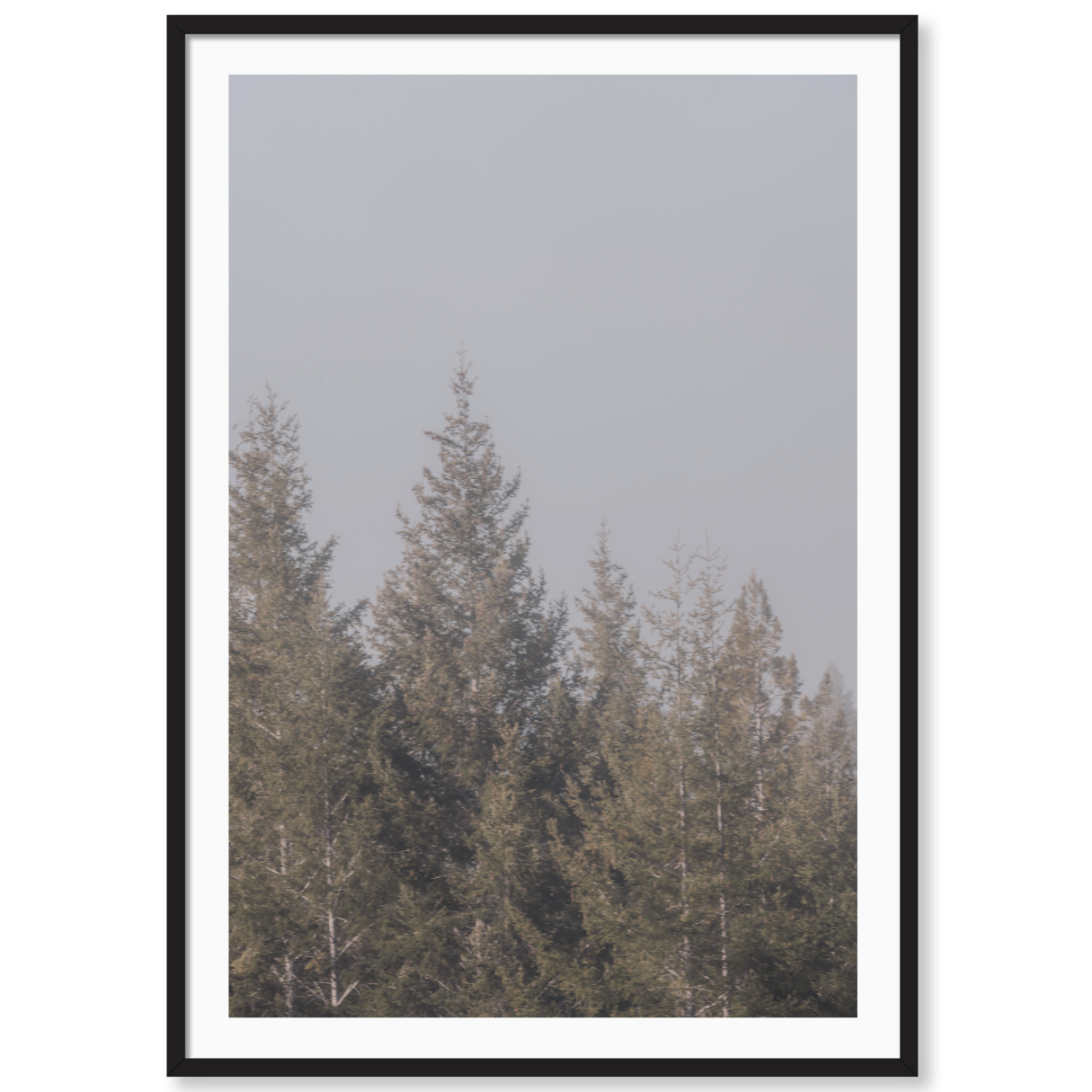 Enchanted Forest 2
