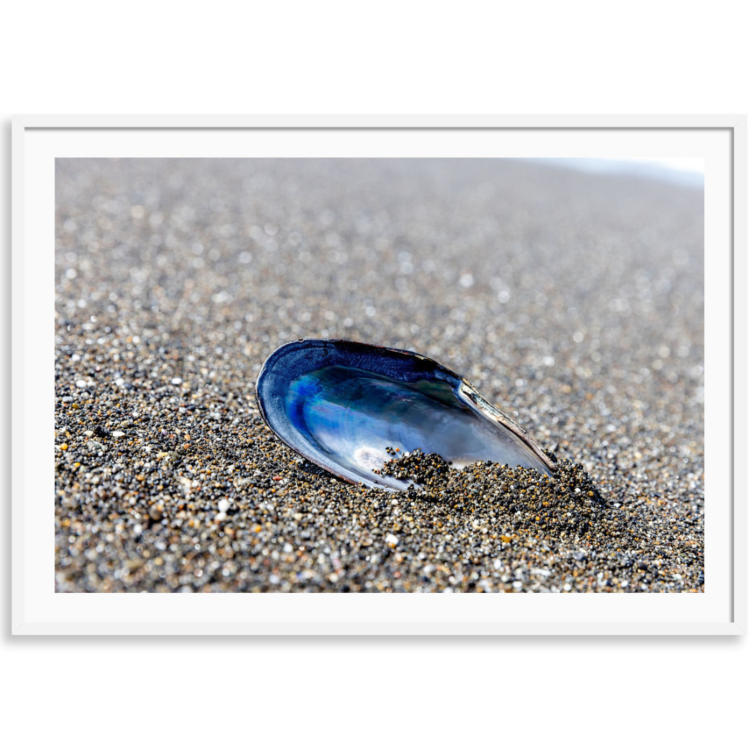 Shiny Beach Treasure