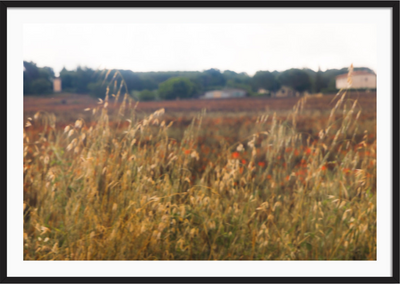 Tuscany Fields