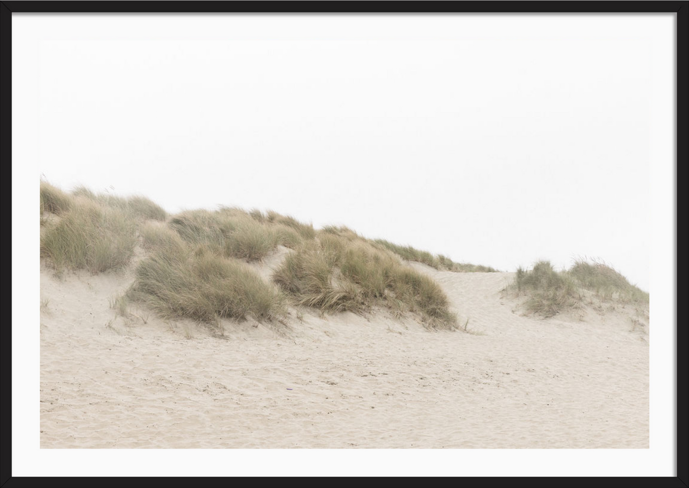 Ocean Beach Dunes