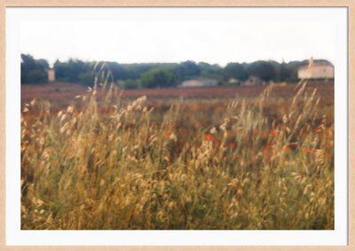 Tuscany Fields