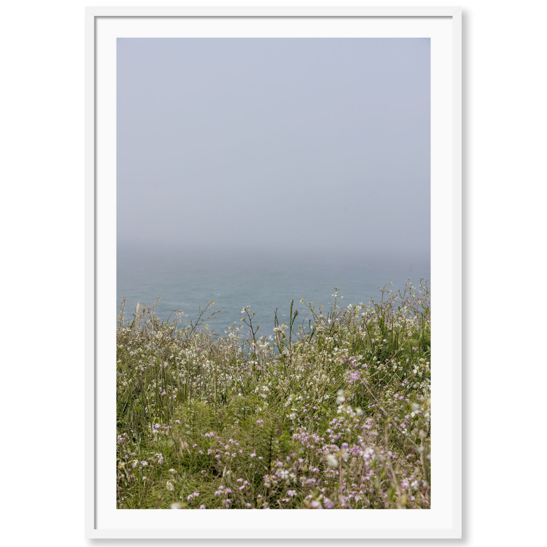 Mendocino Coast Blooms 1