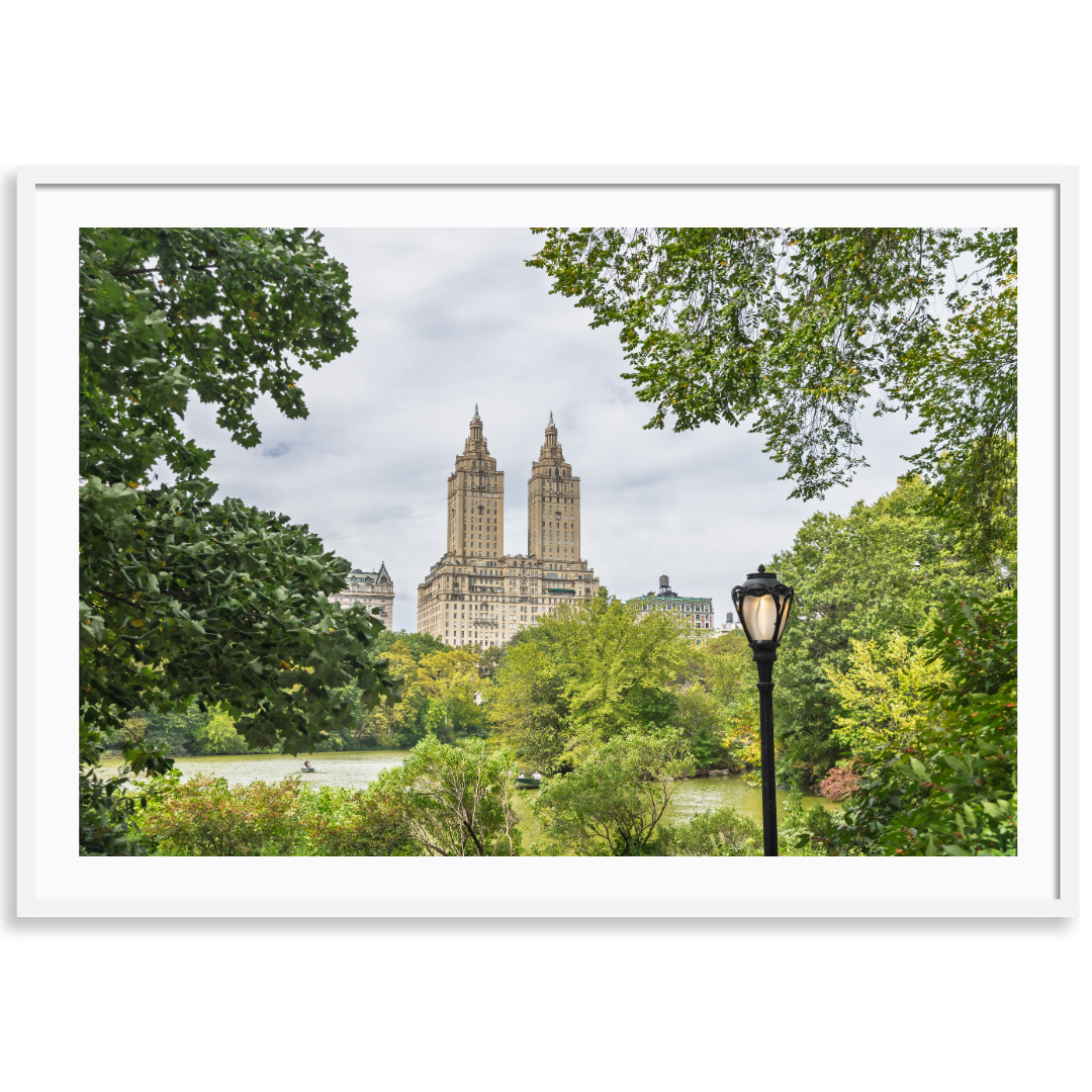 New York in the Park