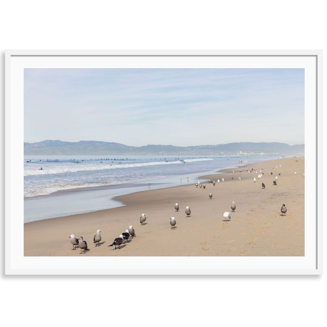 Shoreline Gathering