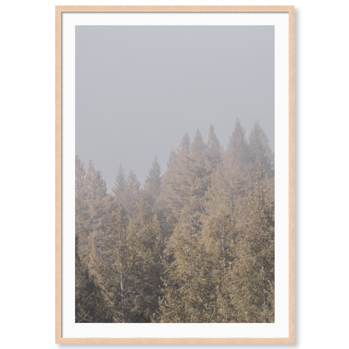 Enchanted Forest 3