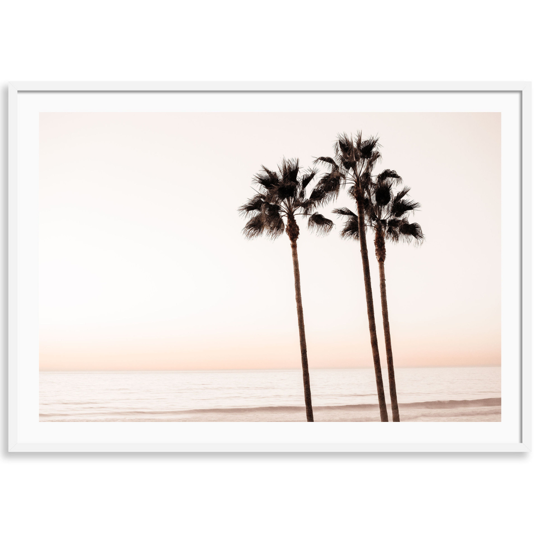Peach Sunset Palms