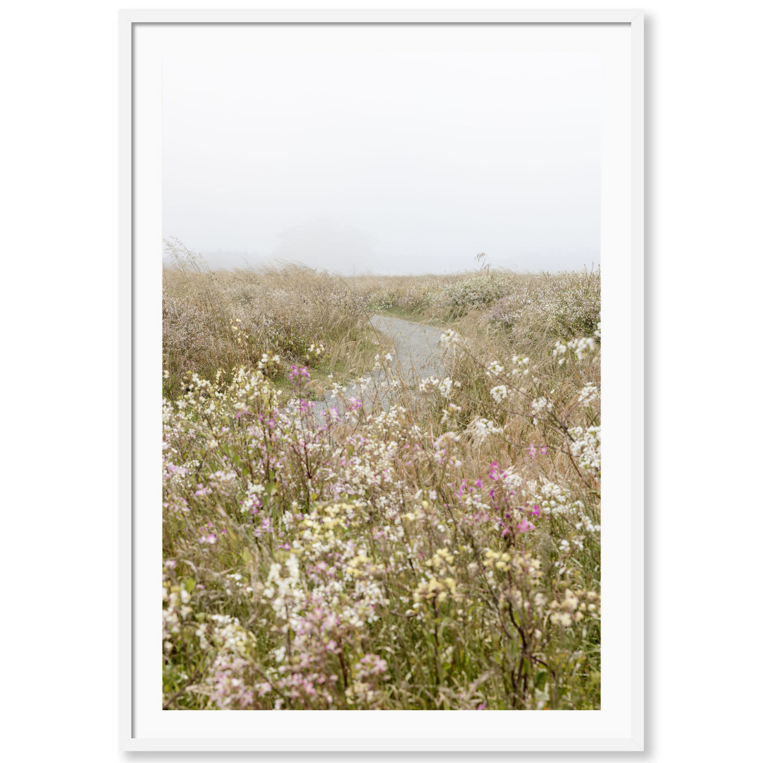 Mendocino Coast Blooms 2