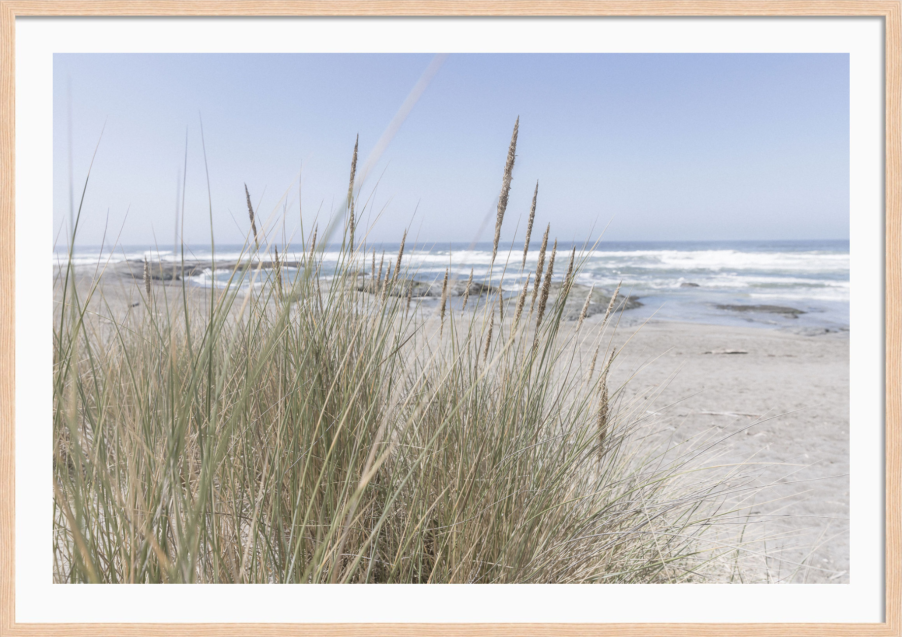 California Wildgrass
