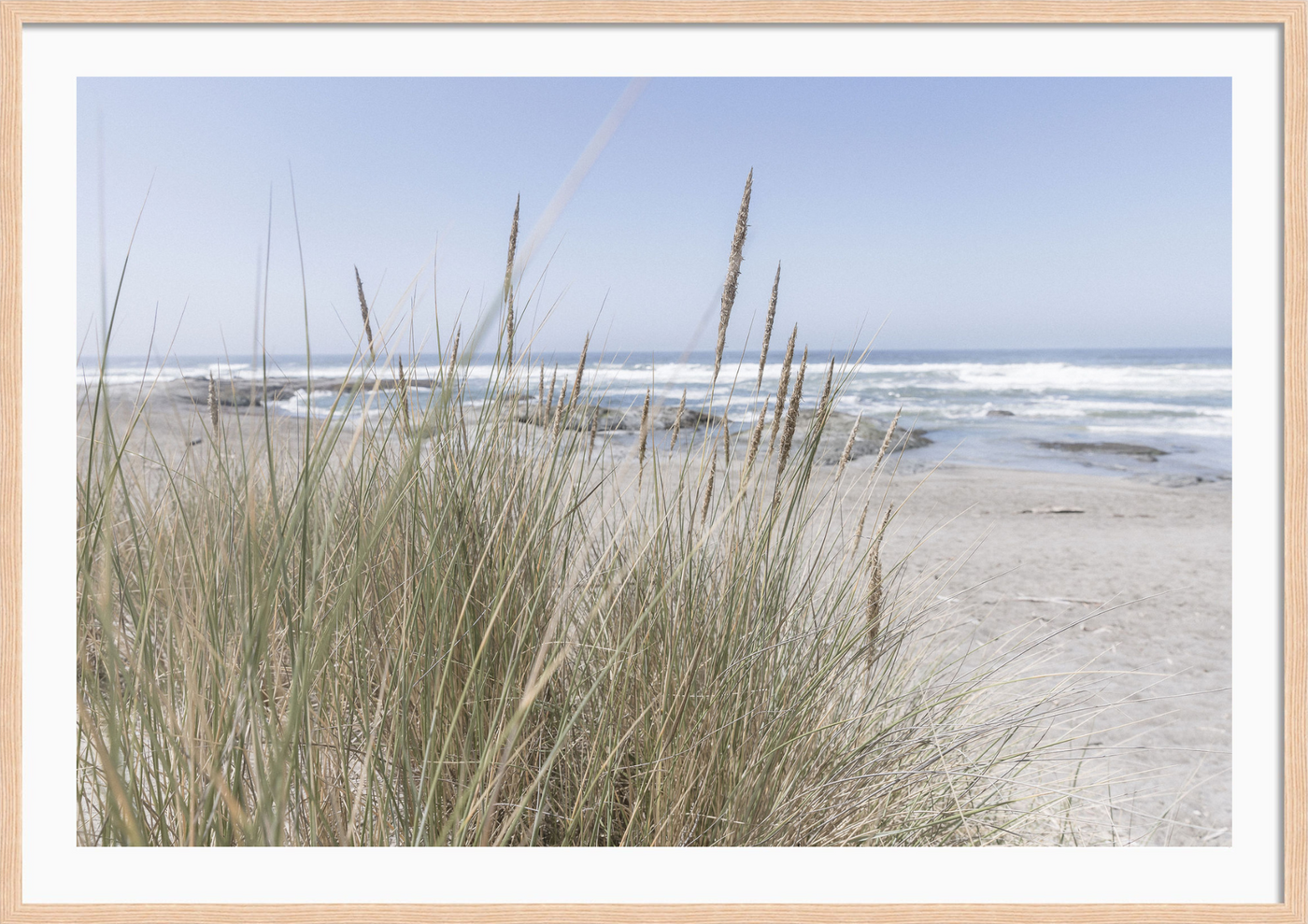 California Wildgrass