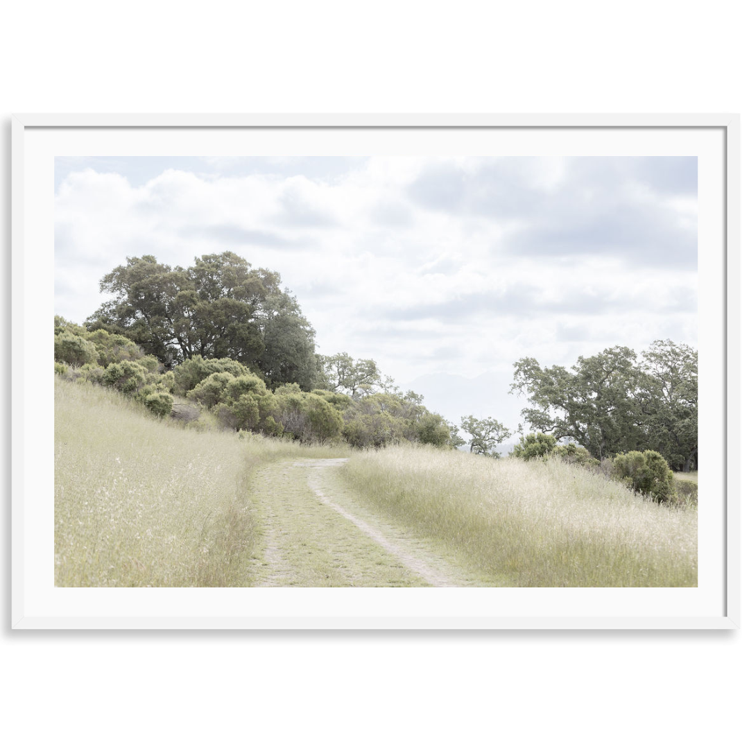 Winding Meadow