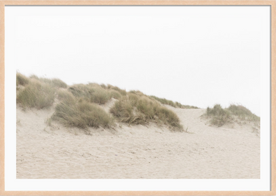 Ocean Beach Dunes