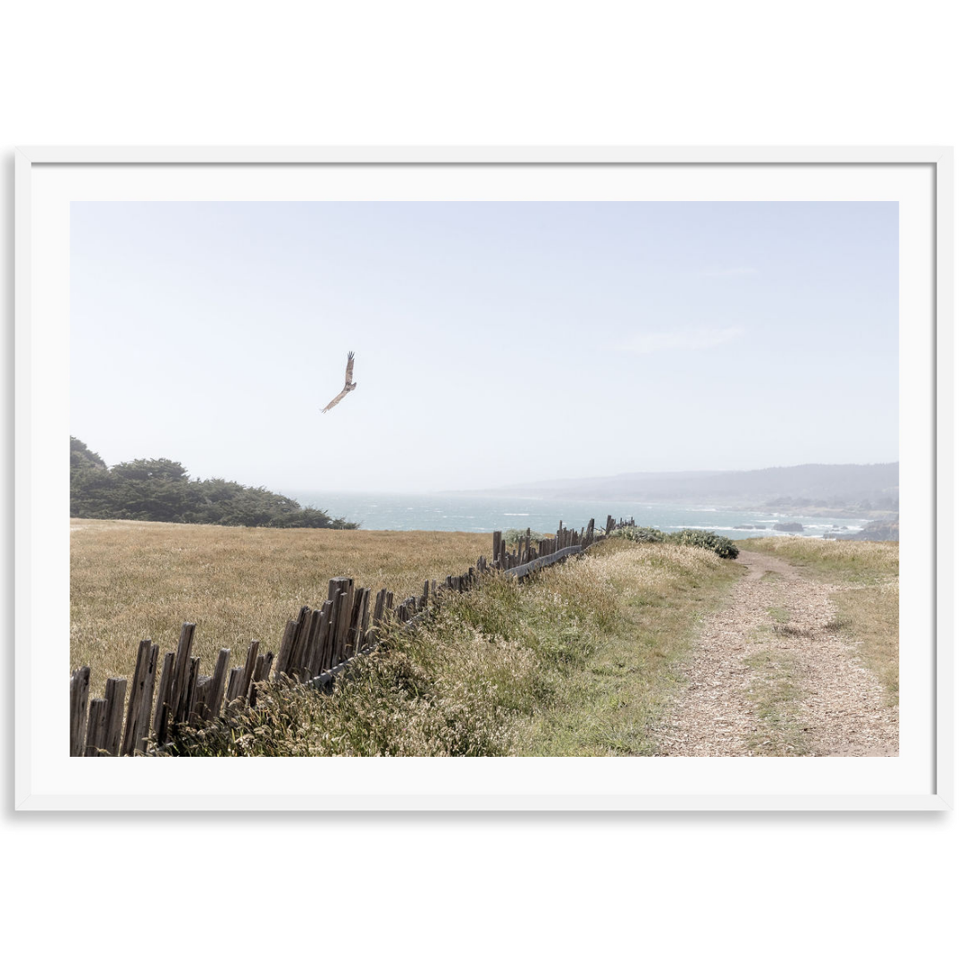 Sea Ranch Flight
