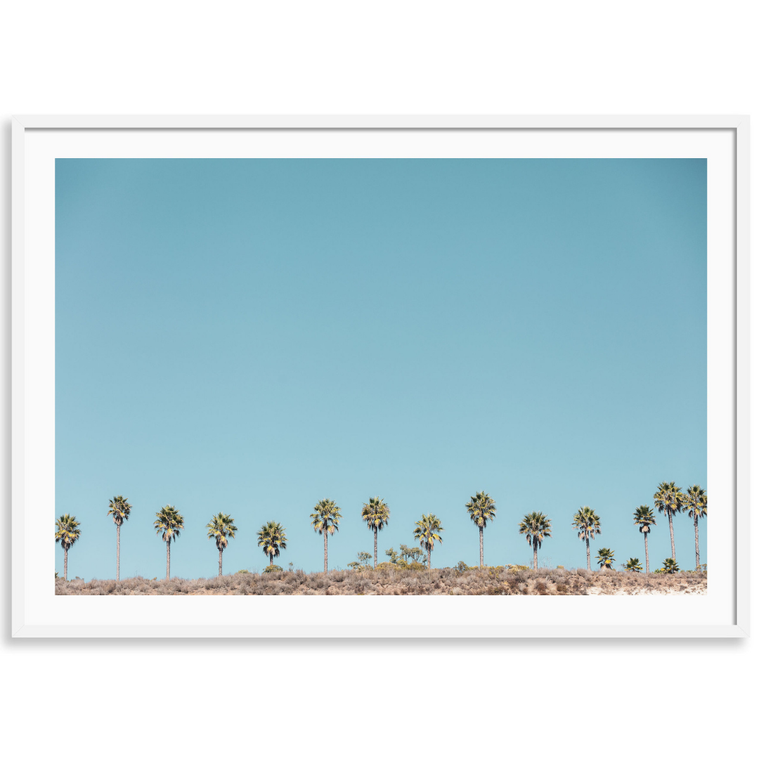 Santa Barbara Palms 3