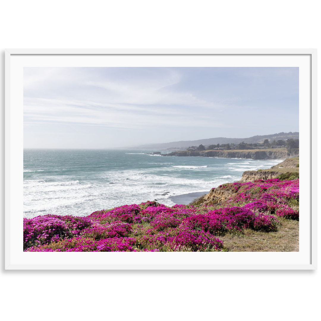 Pink Coastal Wildflowers 2