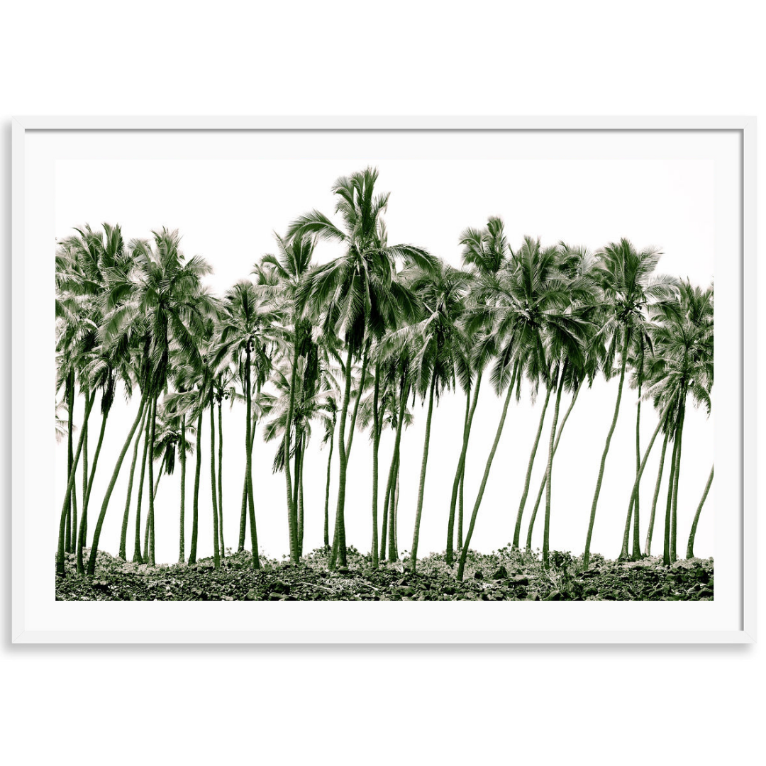 Green Palms