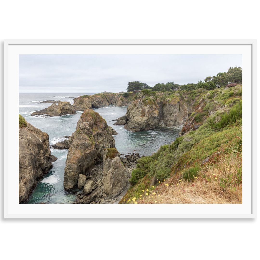Mendocino Headlands