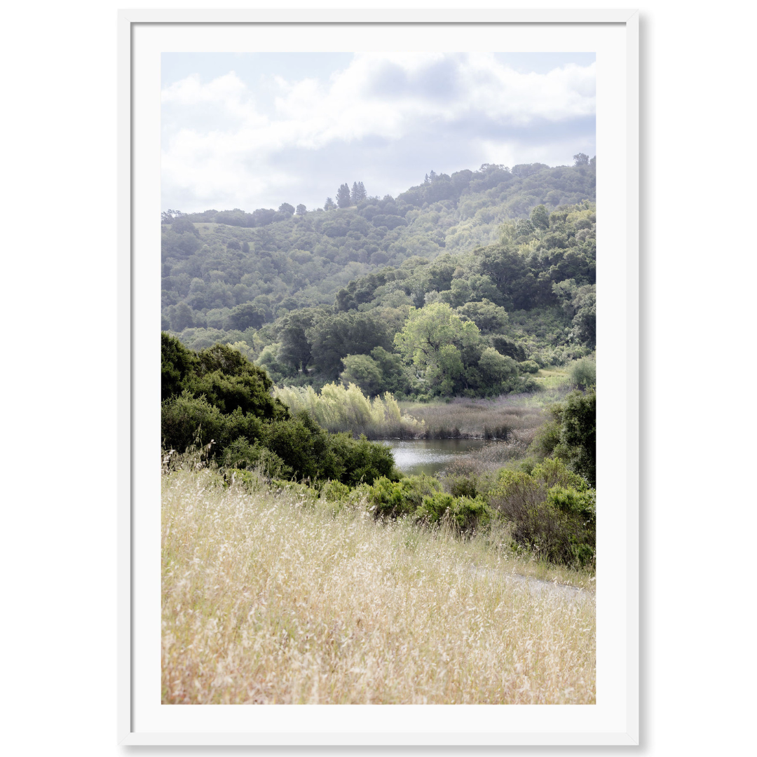 Spring at the Water’s Edge