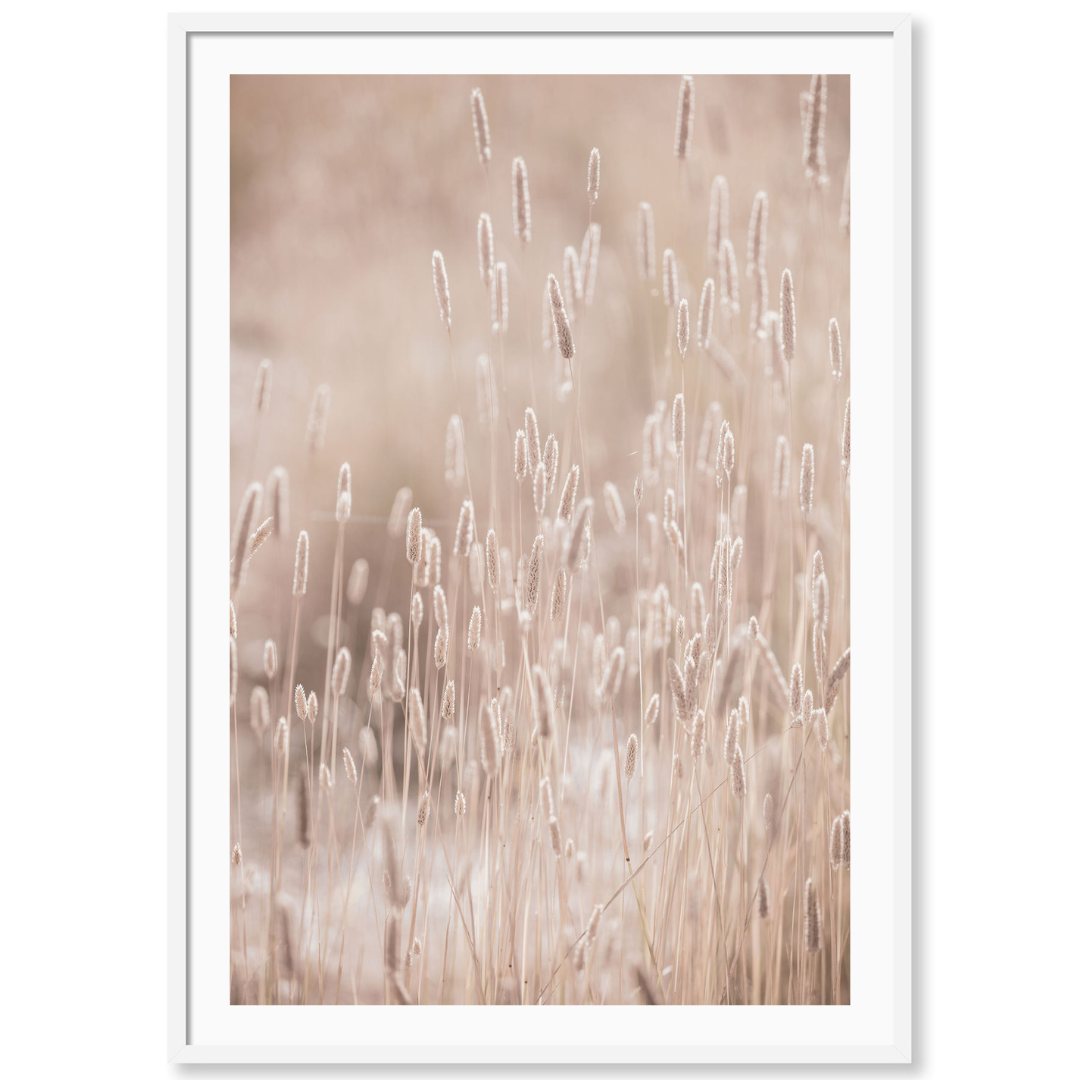 Golden Meadow