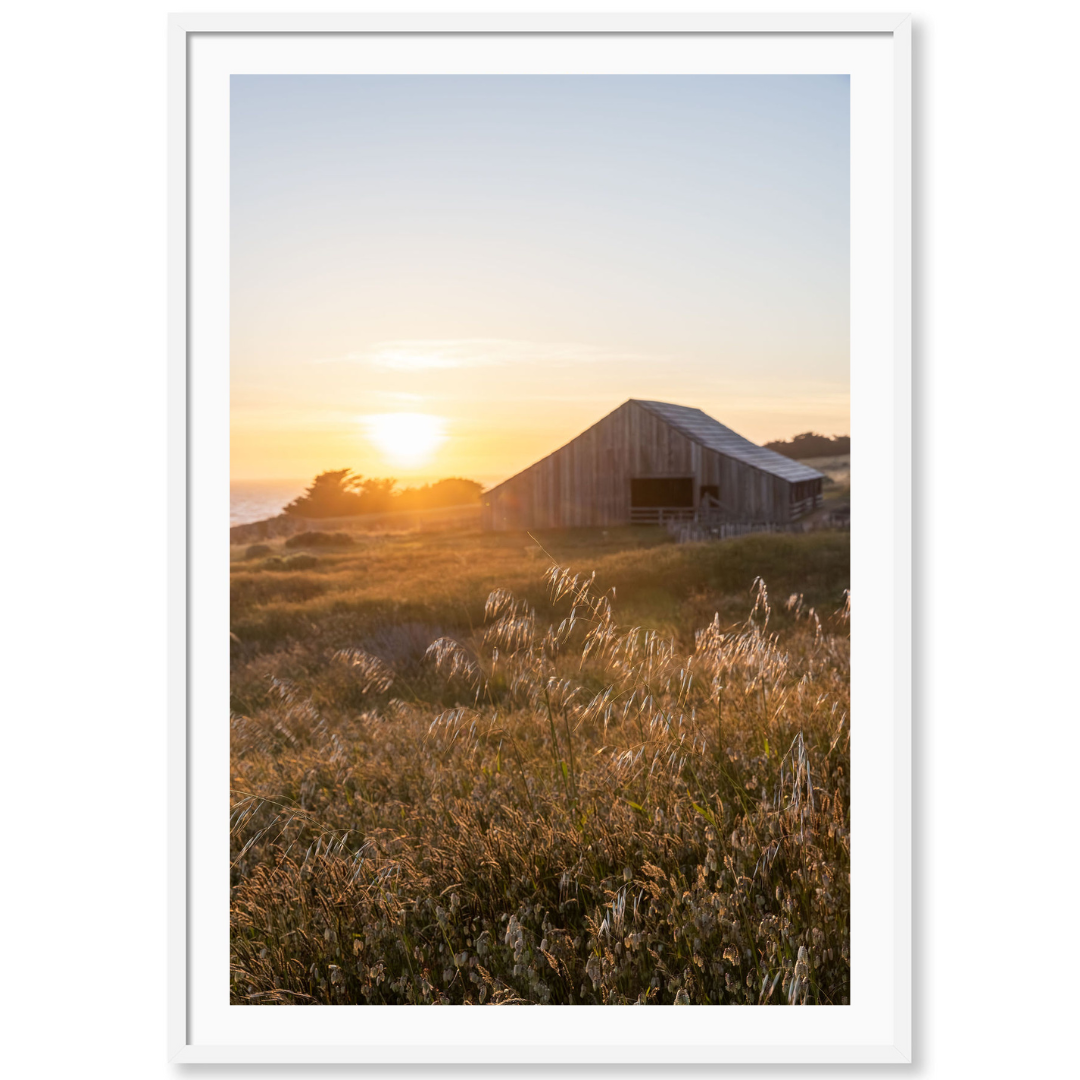 Sea Ranch Sunset 1