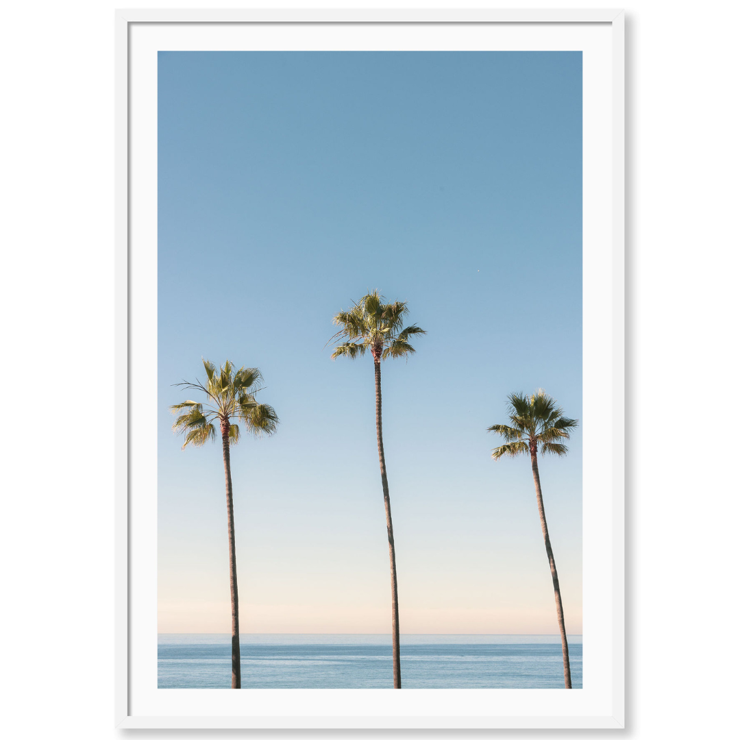 Golden Coast Palms