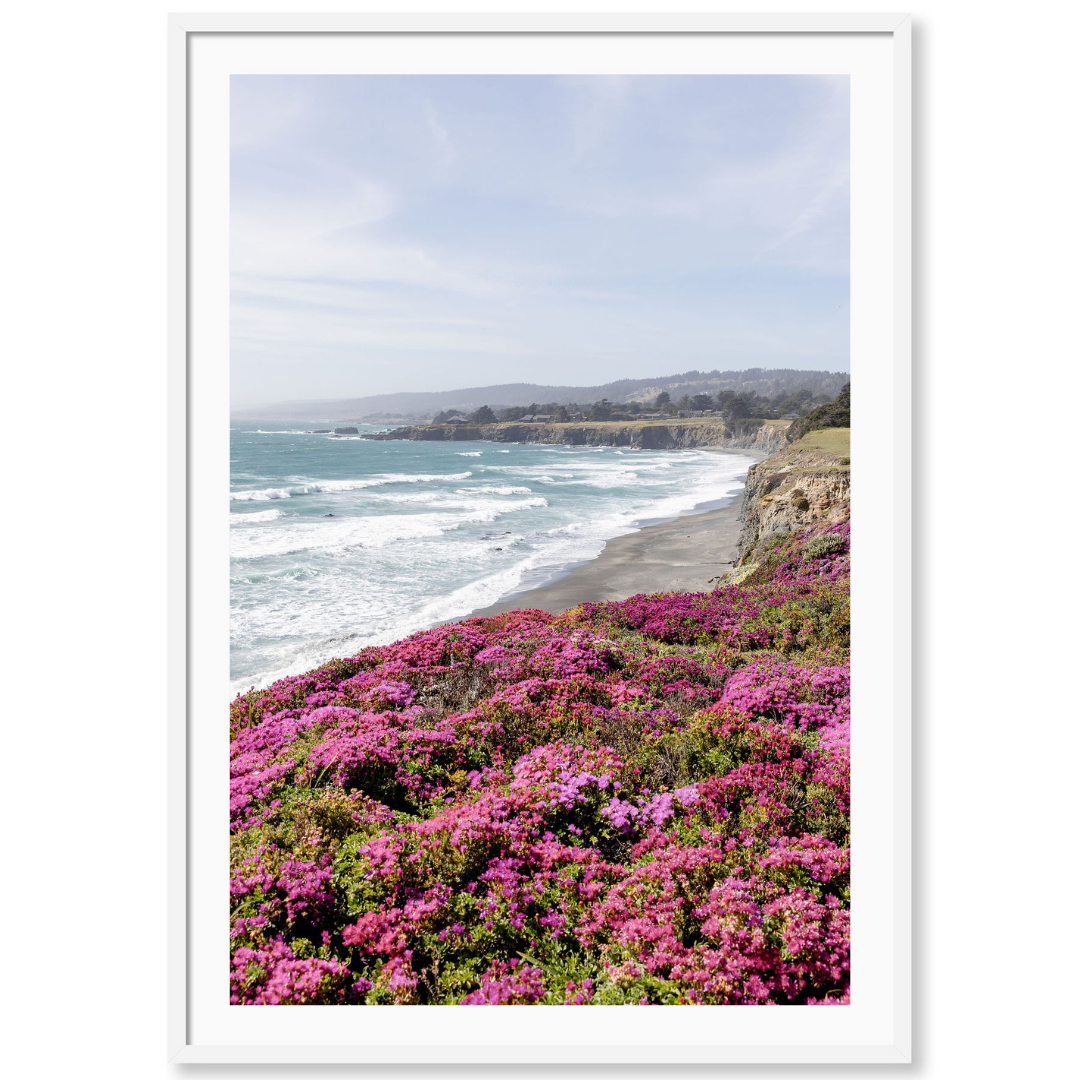 Pink Coastal Wildflowers 1