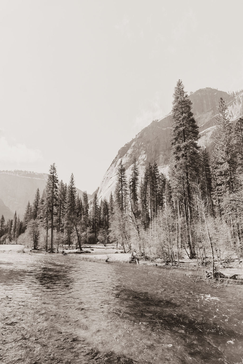 Print Image