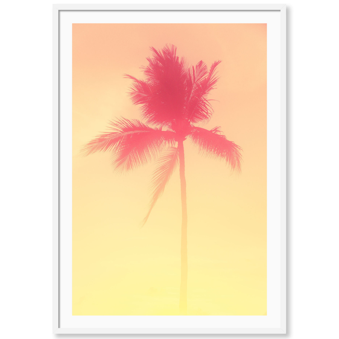 Candy Palm 3