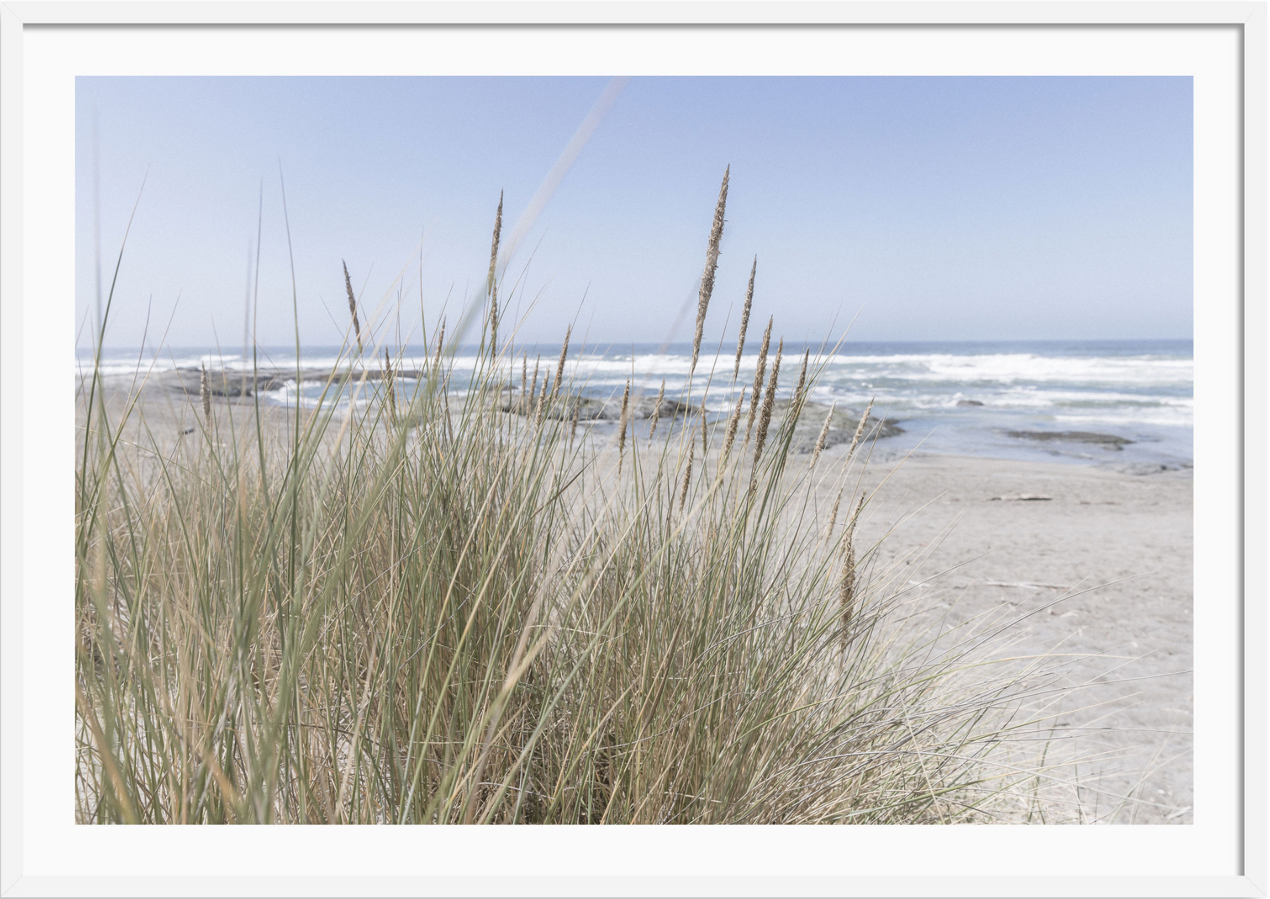 California Wildgrass