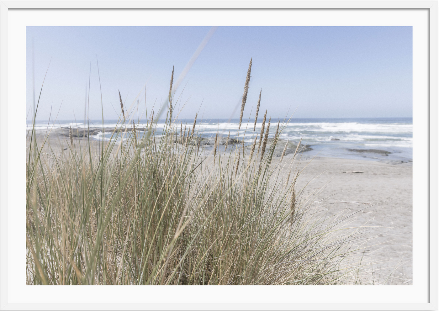 California Wildgrass