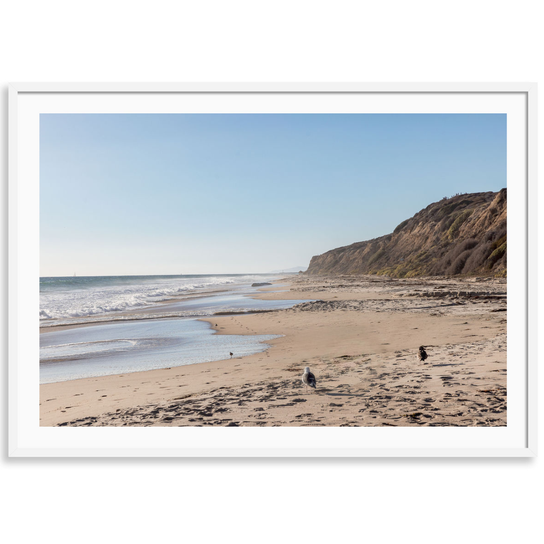 Sunwashed Coast