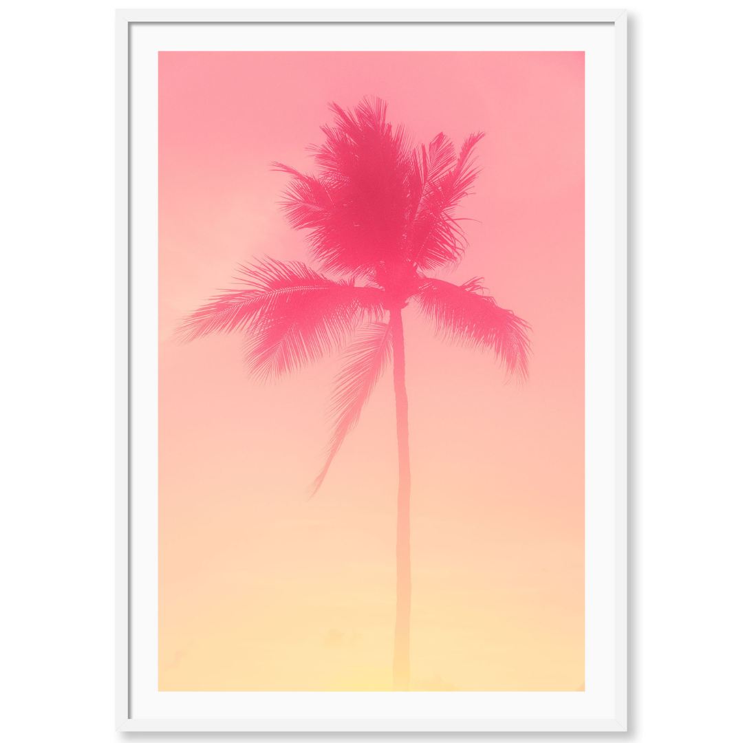 Candy Palm 1