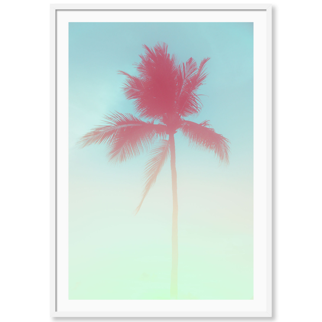 Candy Palm 2