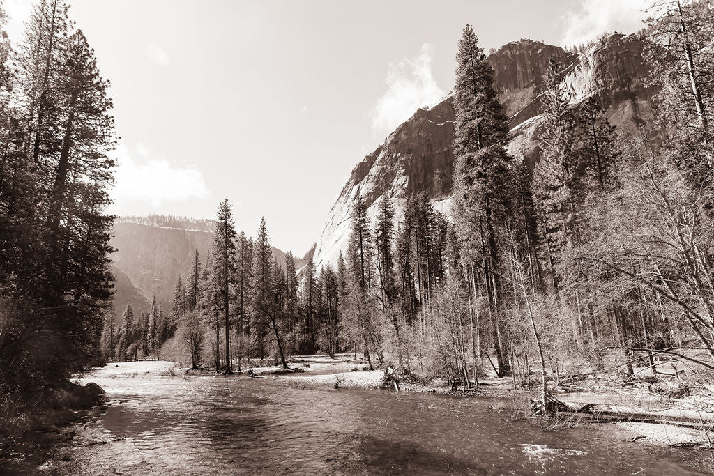 Print Image