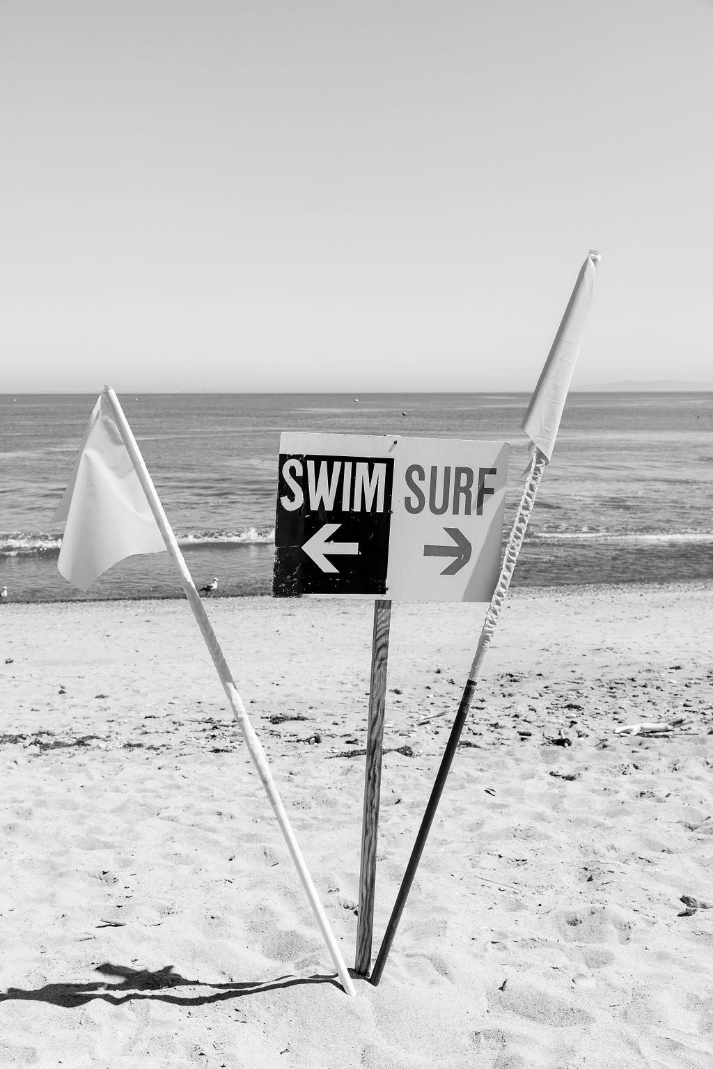 Swim Surf Malibu