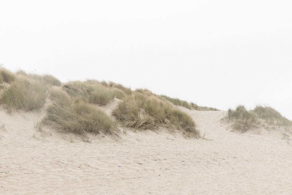 Ocean Beach Dunes