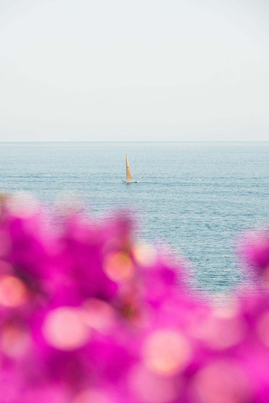 Mediterranean Sailing